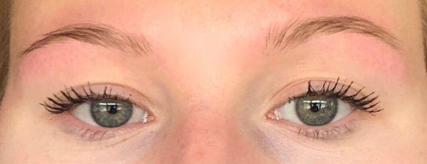 I came in with long/arched brows and left with short, thin, ragged eyebrows. They look completely uneven as well. Won't be returning ever.