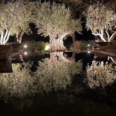 Beautiful Infinity pool reflection, like a mirror...