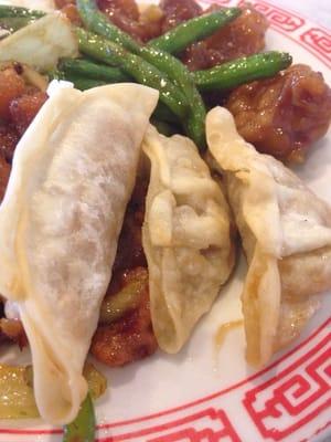 Their fried dumplings with some green beans along with some spicy chicken!