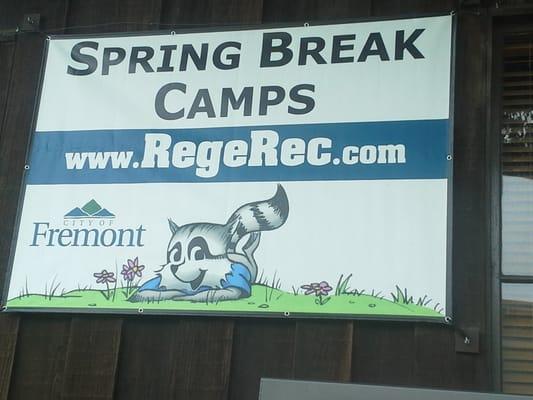 Spring Break Camps!