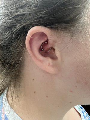 Daith piercing