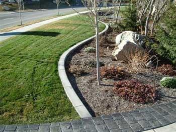 Landscaping, concrete curbing by MSD Curbing, Landscaping Cape Coral, FL (239) 910-3665