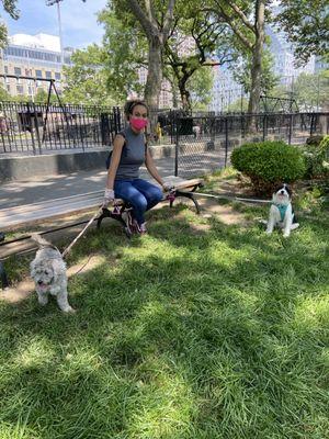 Taking a shade break on a hot summer's day.