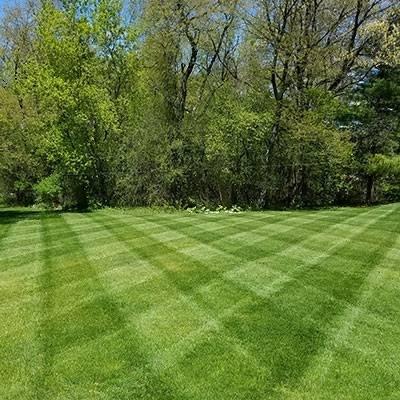 Lawn Care