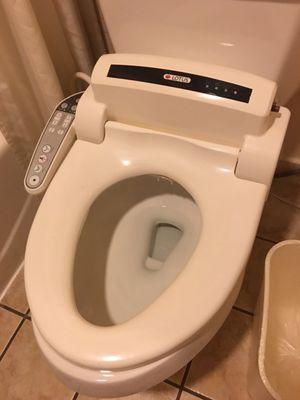 Fancy toilet seat