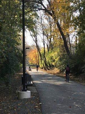 Lighted trail!