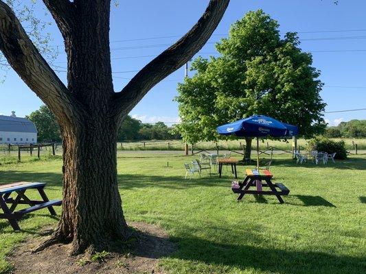 Outdoor dining area