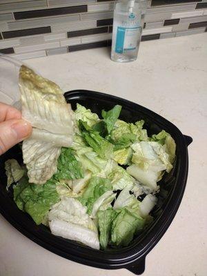 Soggy and old lettuce