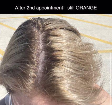 Last attempt for Studio One trying to fix their mistake & still failing. You can still see the orange and roots.