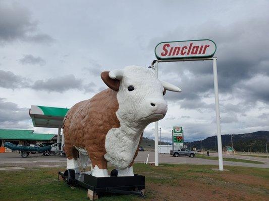 Cow in front of the store