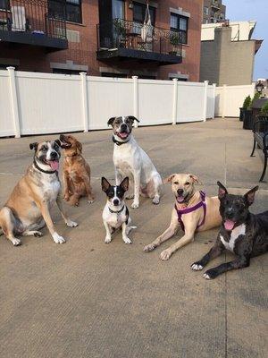 Our Teddy in the middle with the big ears and his Kapooch crew.