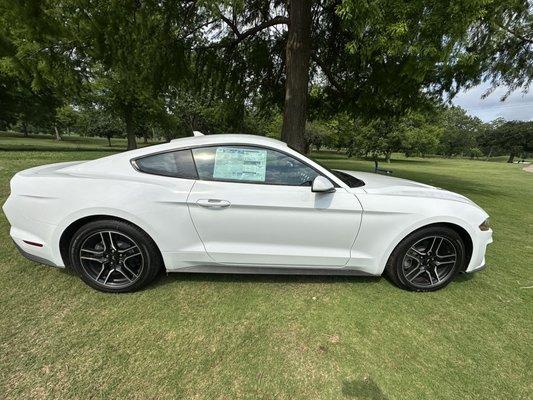 Hole in one gets a Mustang! :)