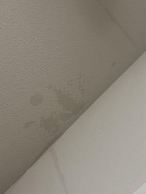 Water leaking master bedroom.