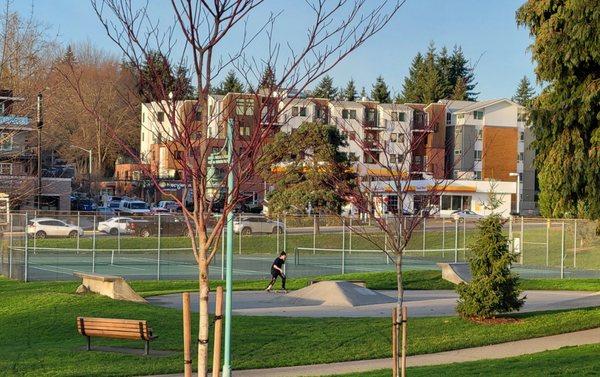 Skate park and tennis courts in the background