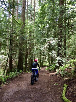 Riding my fat tire bike in Washington