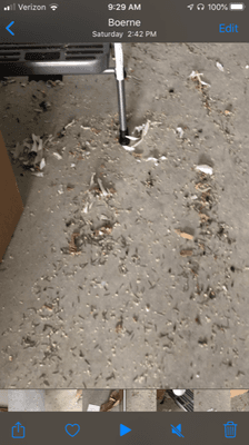 Rodent feces in center of unit with damaged packing material.