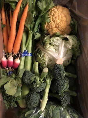 Classic CSA box