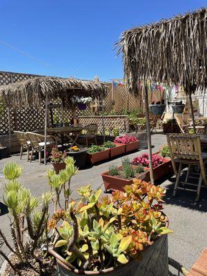 Patio outdoors