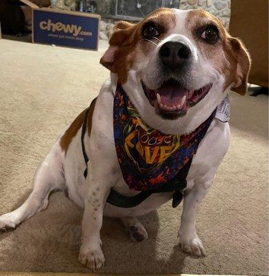 Patsy wearing the Choose Love bandanna from Penzey's.