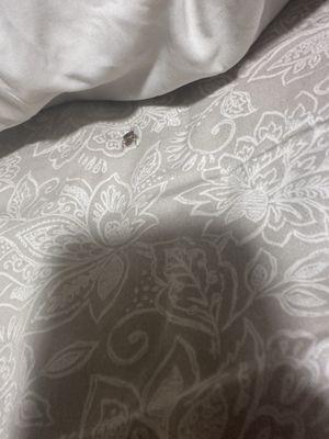 Roaches on my bed