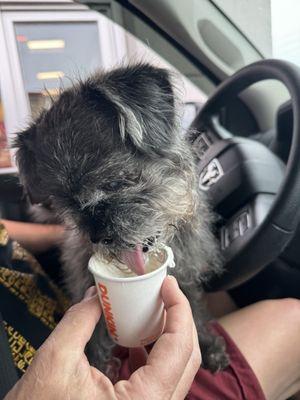 Zoey enjoyed her pup cup!