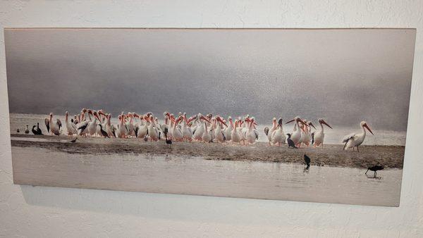 Pelicans on a sandbar, printed on wood.