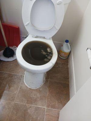 Backed-up toilet, with soiled water from other apartments.