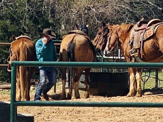 Lake Murray Riding Stables