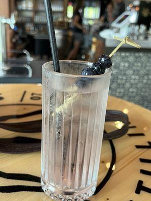 My vodka spritzer with blueberry and ginger.