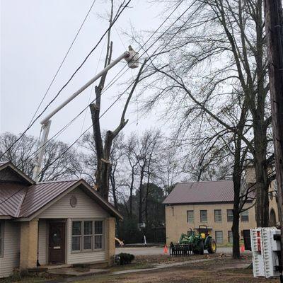 C & M Tree Service