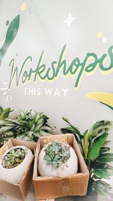 | SUCCULENT WORKSHOP SUCCESS |