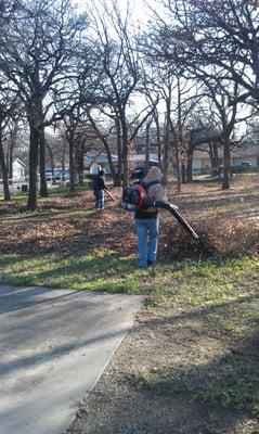 (Before) Over sized lot leaf removal and disposal