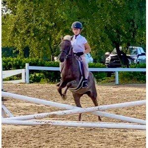 Lesson Pony Ariel jumping at the Great Southwest Equestrian Center show in September.