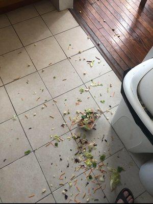 The salad they threw at me that ended up on the floor