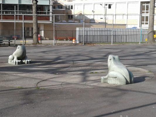 Holy Cow Playground