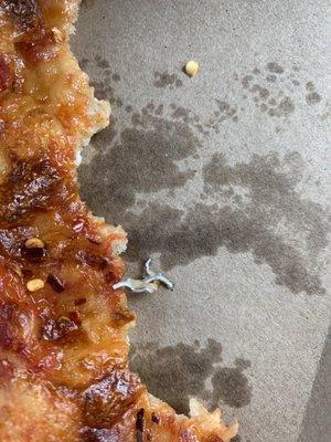 Metal found in slice of pizza