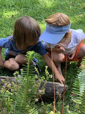 The Outdoor Classroom