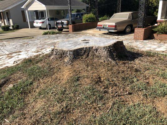 Stump grinding for our friends in Lineville Alabama