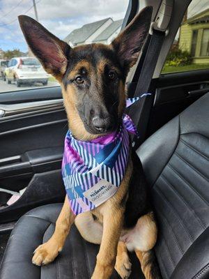 Nala loved her puppy bath