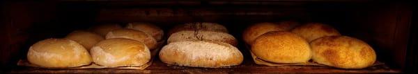 A Few of Our Gold Medal Breads