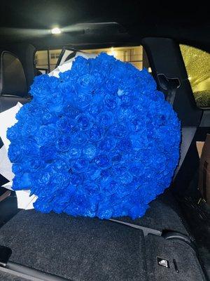 200 blue roses