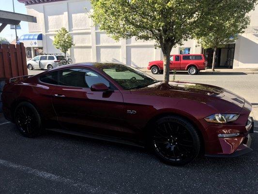 2019 Mustang GT.