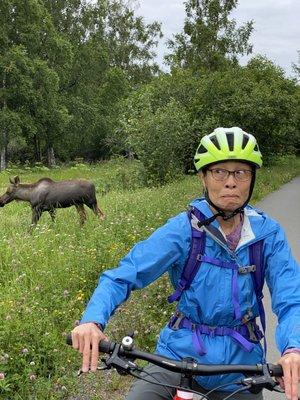 Alaska Pablo's Bicycle Rental