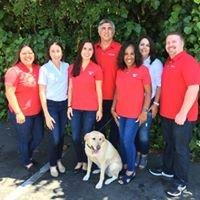 Team at Jerry Selvitella's State Farm Insurance