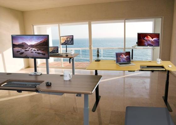 Different Types of Standing Desks / Adjustable Height Desks at the Bellevue Showroom