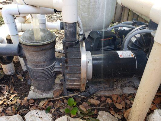 pool pump rebuild before