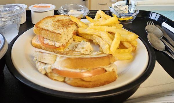 Yummy Tuna melt and baked fries!