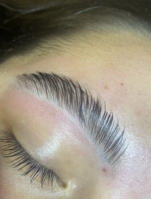 Eyebrow Lamination is the perfect service to have beautiful and maintainable brows. Add a tint to have filled in, full brows.