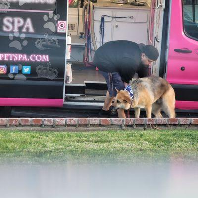 Frankie is making sure Nala doesn't get hurt by helping her off the truck. He even sacrifices his own back for our babies. TY