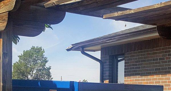 Damage to our house gutter that was brand new.  Caused from Payless Rolloff picking up their container, will NOT take responsibility for.